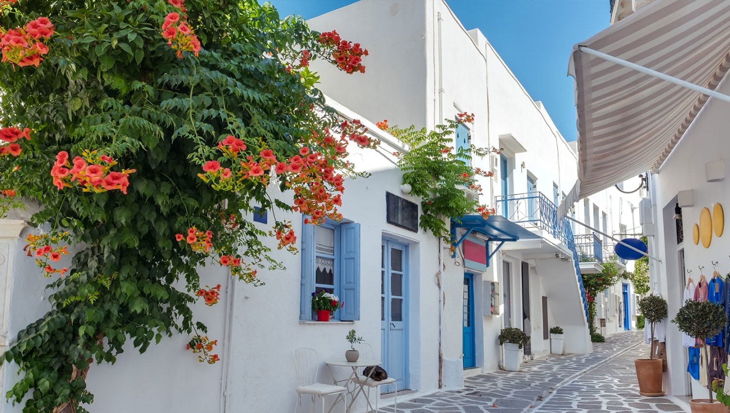 Mediteranean-Header5